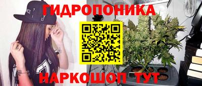спиды Донецк