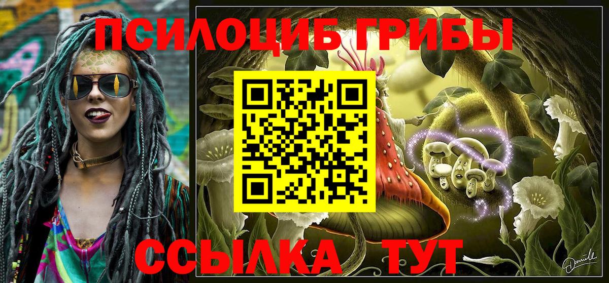 Псилоцибиновые грибы MAGIC MUSHROOMS Кушва