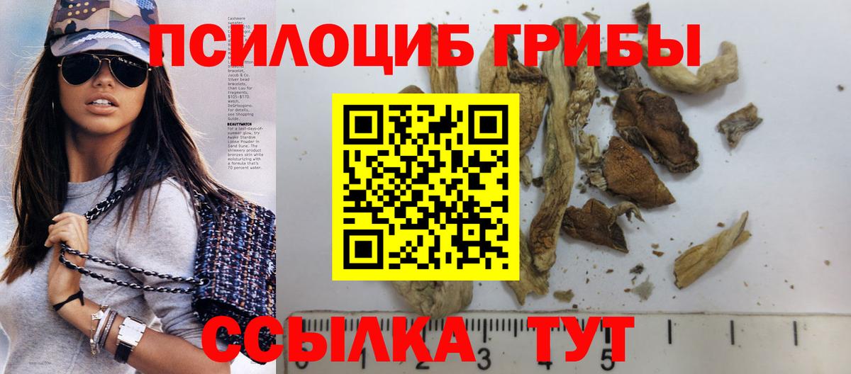 Галлюциногенные грибы мицелий  Вход с VPN  Кушва 